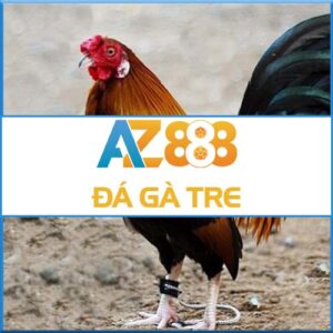 Đá Gà Tre