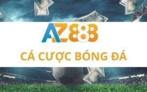 Cá Độ Bóng Đá