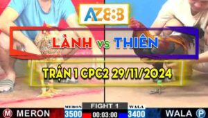 Trận 1 CPC2 29/11/2024 - Gà Anh Thiên Mở Bát Quá Mát Tay