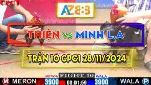 Trận 10 CPC1 28/11/2024 - Gà Anh Thiện Đá Gãy Giò Gà Anh Minh Long An