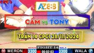 Trận 14 CPC1 28/11/2024 - Gà Anh Tony Đá Phản Thắng Ngược