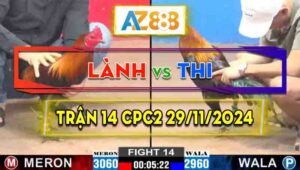 Trận 14 CPC2 29/11/2024 - Anh Lành Hạ Anh Thi Nhanh Gọn