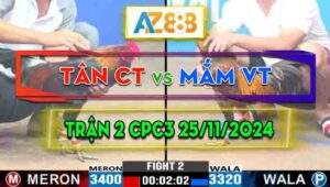 Trận 2 CPC3 25/11/2024 - Gà Anh Mắm Vũng Tàu Thắng Trên Thế Thua