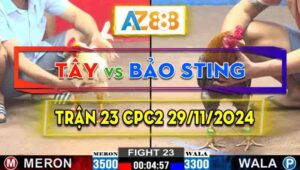 Trận 23 CPC2 29/11/2024 - Gà Cú Hiệu Của Bảo Sting Đá Toàn Đâm Vào Ngực