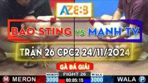 Trận 26 Giải CPC2 24/11/2024 - Gà Bảo Sting Đá Khó Chịu Vô Cùng