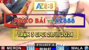 Trận 3 CPC1 28/11/2024 - Đẳng Cấp Gà AZ888 Khiến Đối Thủ Bỏ Chạy