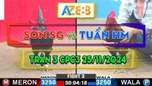 Trận 3 CPC3 25/11/2024 - Gà Anh Tuấn Hóc Môn Đá 3 Cước Lụm Tiền