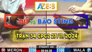 Trận 34 CPC2 27/11/2024 - Anh Dự Phục Thù Anh Bảo Sting