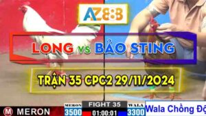 Trận 35 CPC2 29/11/2024 - Anh Long Hạ Con Gà Chồng Độ Của Bảo Sting