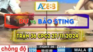 Trận 36 CPC2 27/11/2024 - Gà Điều Anh Dự Chồng Độ Hạ Tiếp Bảo Sting