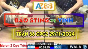 Trận 36 CPC2 29/11/2024 - Anh Vinh Không Cho Bảo Sting Có Cơ Hội Sửa Gà