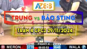 Trận 4 CPC2 29/11/2024 - Gà Bông Anh Bảo Sting Đá Cựa Quá Dã Man