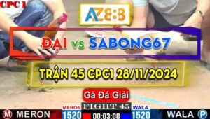 Trận 45 Giải CPC1 29/11/2024 - Gà Sabong67 Đá Cựa Đâm Quá Dã Man