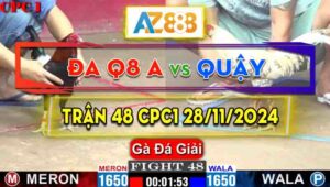 Trận 48 Giải CPC1 29/11/2024 - Gà Anh Đa Quận 8 Đá Bươi Chà Quá Ác