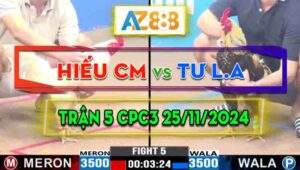 Trận 5 CPC3 25/11/2024 - Anh Hiếu Cà Mau Gặp Anh Tư Long An, Xổ 300TR