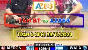 Trận 6 CPC1 28/11/2024 - Gà Anh Tân Bến Tre Đá Ăn Nhanh Gọn