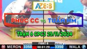 Trận 6 CPC3 25/11/2024 - Gà Anh Phúc Củ Chi Gồng Gánh Cứu Chủ Đẳng Cấp