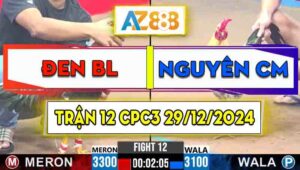 Trận 12 CPC3 29/12/2024 - Gà Nguyên Cà Mau Đá Chưa Tới 1 Tay Nước