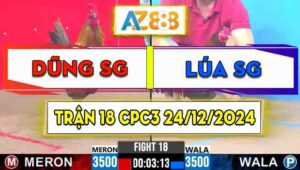 Trận 18 CPC3 24/12/2024 - Gà Anh Dũng Sài Gòn Đá Cái Bo Siêu Lực