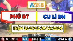 Trận 36 CPC3 29/12/2024 - Gà Hiệu Bảo Sting Đá Không Trượt Phát Nào