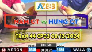 Trận 44 CPC3 08/12/2024 - Gà Camelo Của Hưng Cần Thơ Đâm Cựa Quá Dã Man