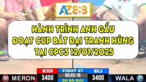 Hành Trình Anh Gấu Đoạt Cup Bát Đại Tranh Hùng Tại CPC3 12/01/2025