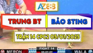 Trận 14 CPC2 05/01/2025 - Gà Bảo Sting Đá Nhanh Như Một Cơn Gió