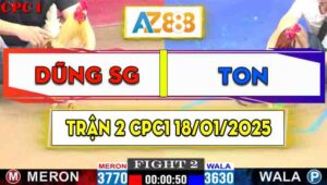 Trận 2 CPC1 18/01/2025 - Gà Anh Dũng Sài Gòn Có Đòn Cựa Chí Mạng