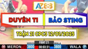 Trận 21 CPC3 12/01/2025 - Trời Sinh Duyên Ti Sao Còn Sinh Bảo Sting