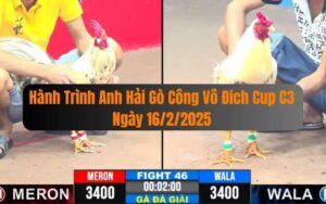 Hành Trình Anh Hải Gò Công Vô Đich Cup C3 Ngày 16/2/2025