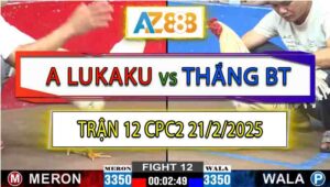 Trận 12 CPC2 21/2/2025 - Gà Anh LuKaKu Chân 1 Hạ Mẻ Hiệu Anh Bảo Sting