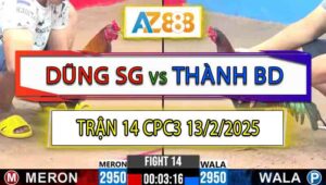 Trận 14 CPC3 13/2/2025 - Gà Điều Anh Dũng Sài Gòn Đâm Như Sam Sít