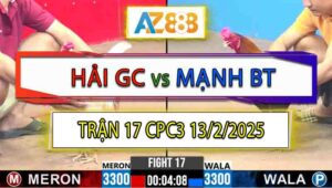 Trận 17 CPC3 13/2/2025 - Bướm Việt Lai Đâm Siêu Mỹ Không Kịp Dỡ Giò