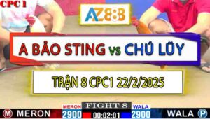 Trận 8 CPC1 22/2/2025 - Gà Bướm Anh Bảo Sting 1 Đá Bẻ Chân Đối Thủ