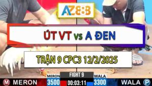 Trận 9 CPC3 12/2/2025 - Điều Đá 1 Chân Bướm Nằm Tai Biến