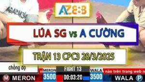 Trận 13 CPC3 28/3/2025 - Anh Lúa Sài Gòn Lấy Thiên Trả Địa