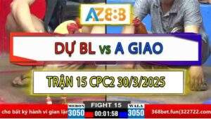Trận 15 CPC2 30/3/2025 - Úa Cọp Anh Dự Bảo Lộc Đâm Không Bỏ Chân Nào