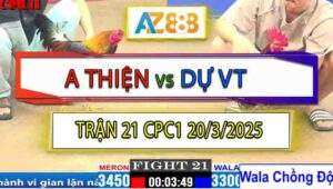 Trận 21 CPC1 20/3/2025 - Xám Bông Anh Dự Chồng Độ Đá Quẹo Cổ Gà Điều