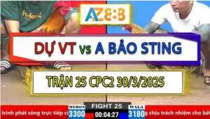Trận 25 CPC2 30/3/2025 - Gà Cú Anh Bảo Sting Có Chân Xạo Lợ Hạ Anh Dự