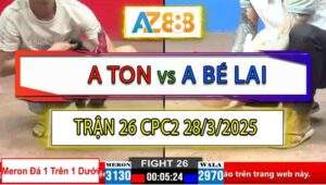 Trận 26 CPC2 28/3/2025 - Úa Chân Cua Đâm Gãy Cổ Điều Cọp Anh Ton