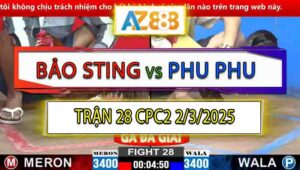 Trận 28 CPC2 2/3/2025 - Anh Bảo Sting Lụm Gọn Anh Phu Phu