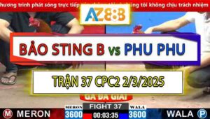 Trận 37 CPC2 2/3/2025 - Anh Phu Phu Phục Thù Anh Bảo Sting Thành Công