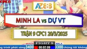 Trận 9 CPC1 20/3/2025 - Xám Bông Anh Dự Đá Chân 1 Má Chịu Không Nổi