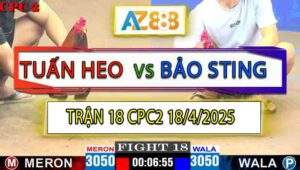 Trận 18 CPC2 18/4/2025 - Que Cọp Mặt Lọ Bảo Sting Tiễn Bông Lên Đường