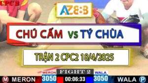 Trận 2 CPC2 18/4/2025 - Anh Tý Chùa Thả Phản Ăn 1 Đưa Biện Đi Khúc