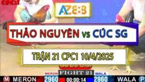 Trận 21 CPC1 10/4/2025 - Chị Thảo Nguyên Gặp Chị Cúc Sài Gòn
