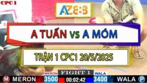 Trận 1 CPC1 20/5/2025 - Anh Móm Mở Bát Hạ Đẹp Anh Tuấn