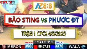 Trận 1 CPC2 4/5/2025 - Anh Bảo Sting Và Anh Phước Đồng Tháp