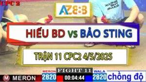 Trận 11 CPC2 4/5/2025 - Khét Cọp Bảo Sting Lên 2 Tiễn Bướm Lên Đường