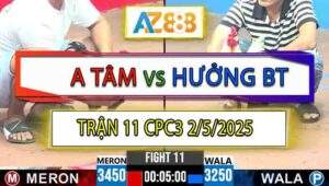 Trận 11 CPC3 2/5/2025 - Anh Tâm Và Anh Hưởng Bến Tre
